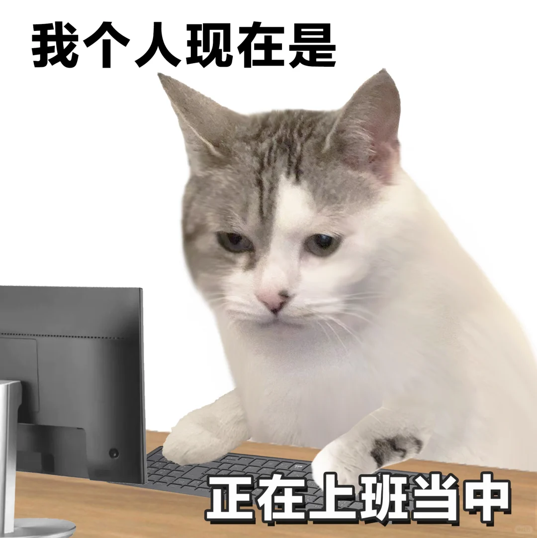 表情包 | 打工人上班状态一览