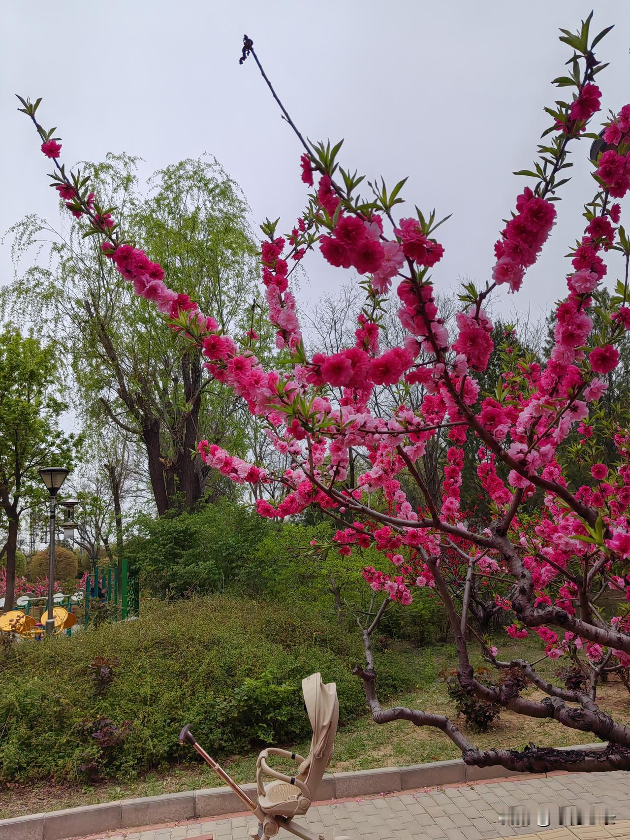 我的下联是：园中乐趣多。