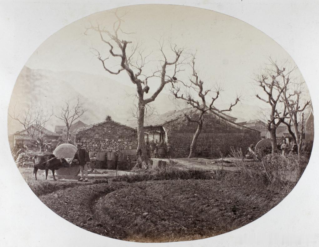 Husking rice with stone wheels (chaser m