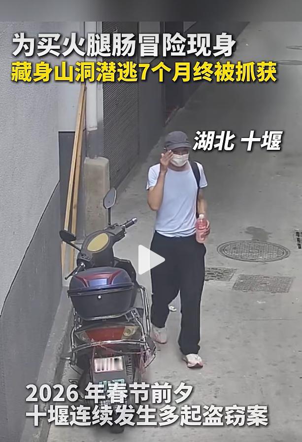 8月20日大河报报道，湖北十堰一名涉案人员作案后，仗着熟悉当地山林地形，刻意躲避