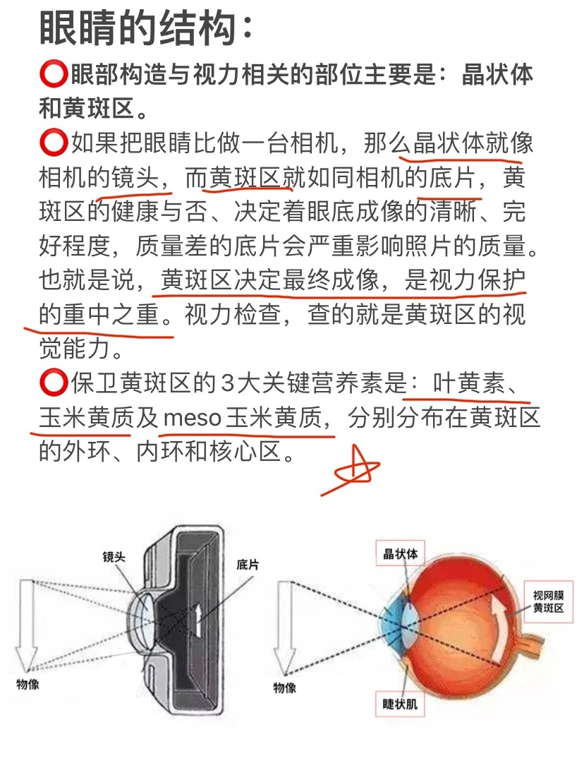 别再搞错啦❌宝宝护眼了解这三点就够了‼️