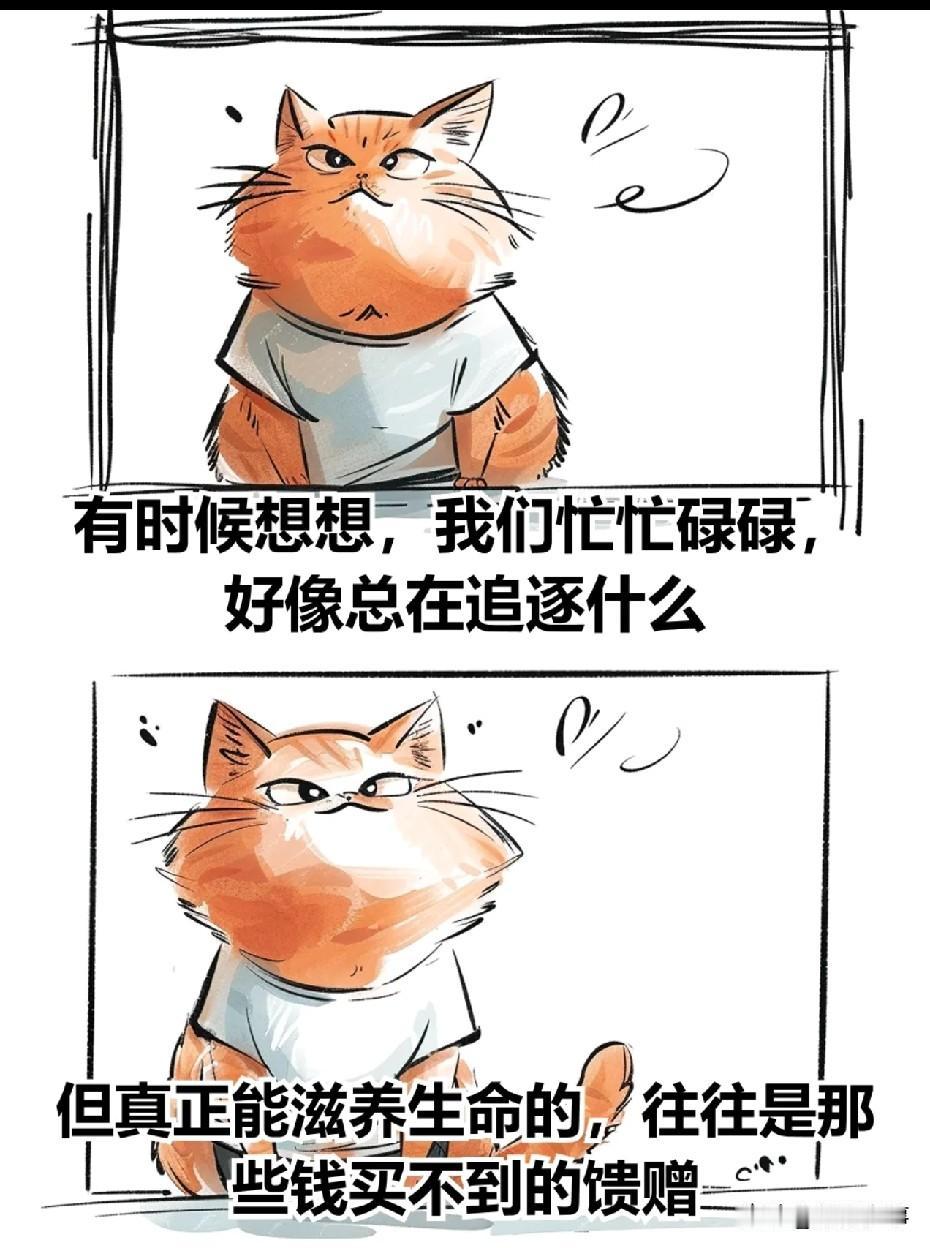 真正滋养我们的永远是
金钱买不到的馈赠
我们每天忙忙碌碌
忙着生存
忙着挣钱
忙