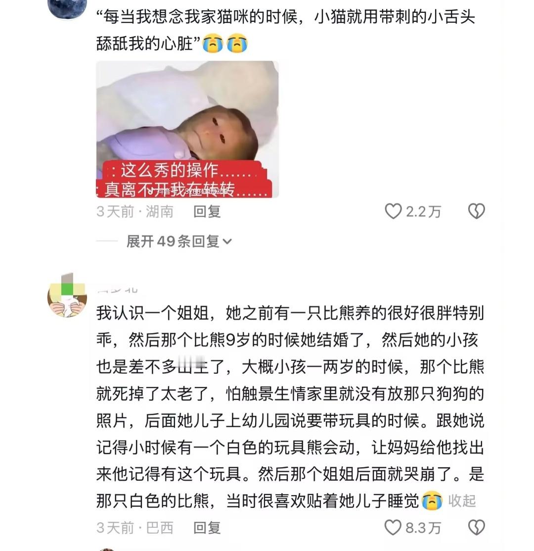 世界上不能没有身上永远毛茸茸暖烘烘的亲戚 
