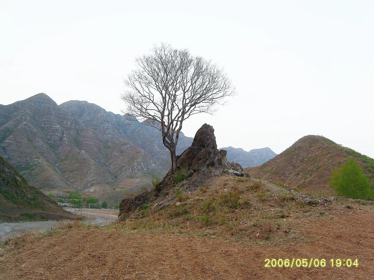 凌源景观系列之四十六——河坎子天然盆景   

        在凌源河坎子小南