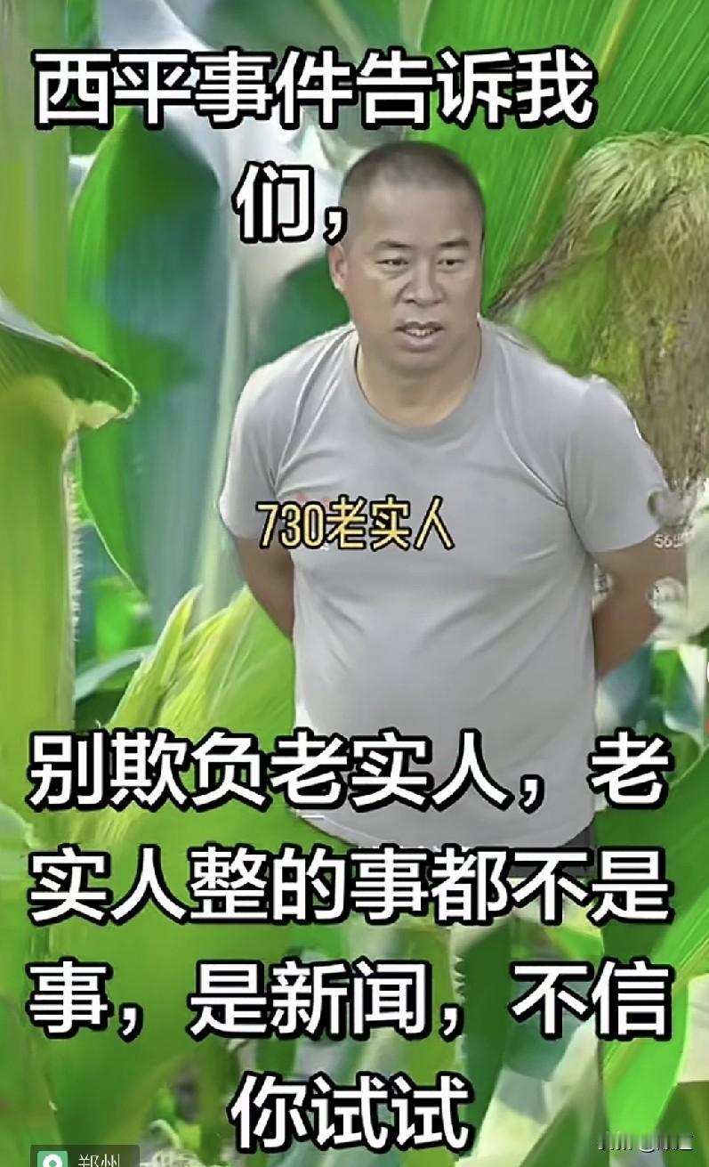 这句话太有份量了！
西平事件告诉我们，别欺负老实人，老实人整的事都不是事，是新闻