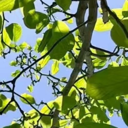 阳光信用‎阳光信用 心有所想，目有所望，每个人眼中都有一个不同的世界，世界如此美