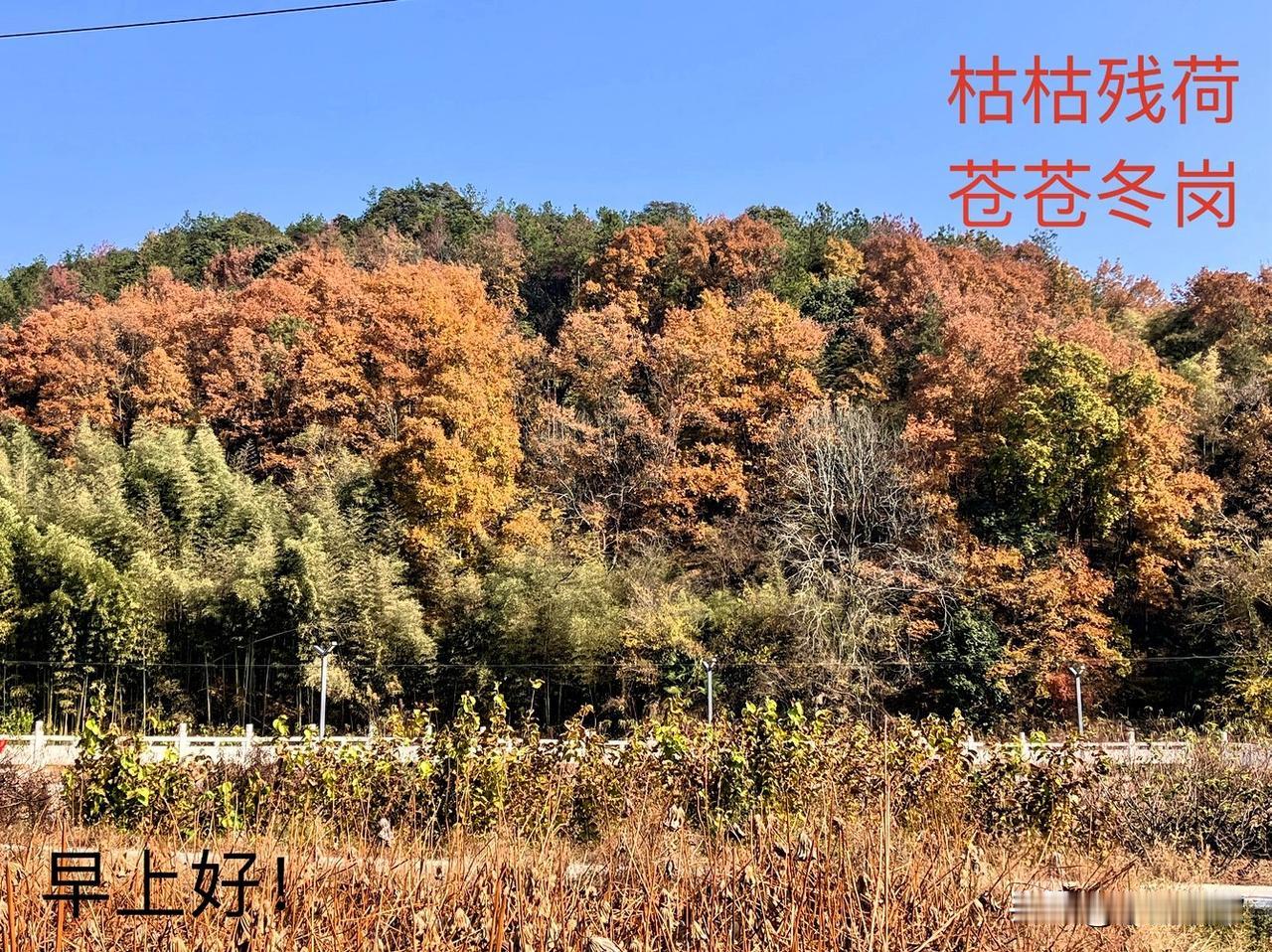 分享你随手拍的风景