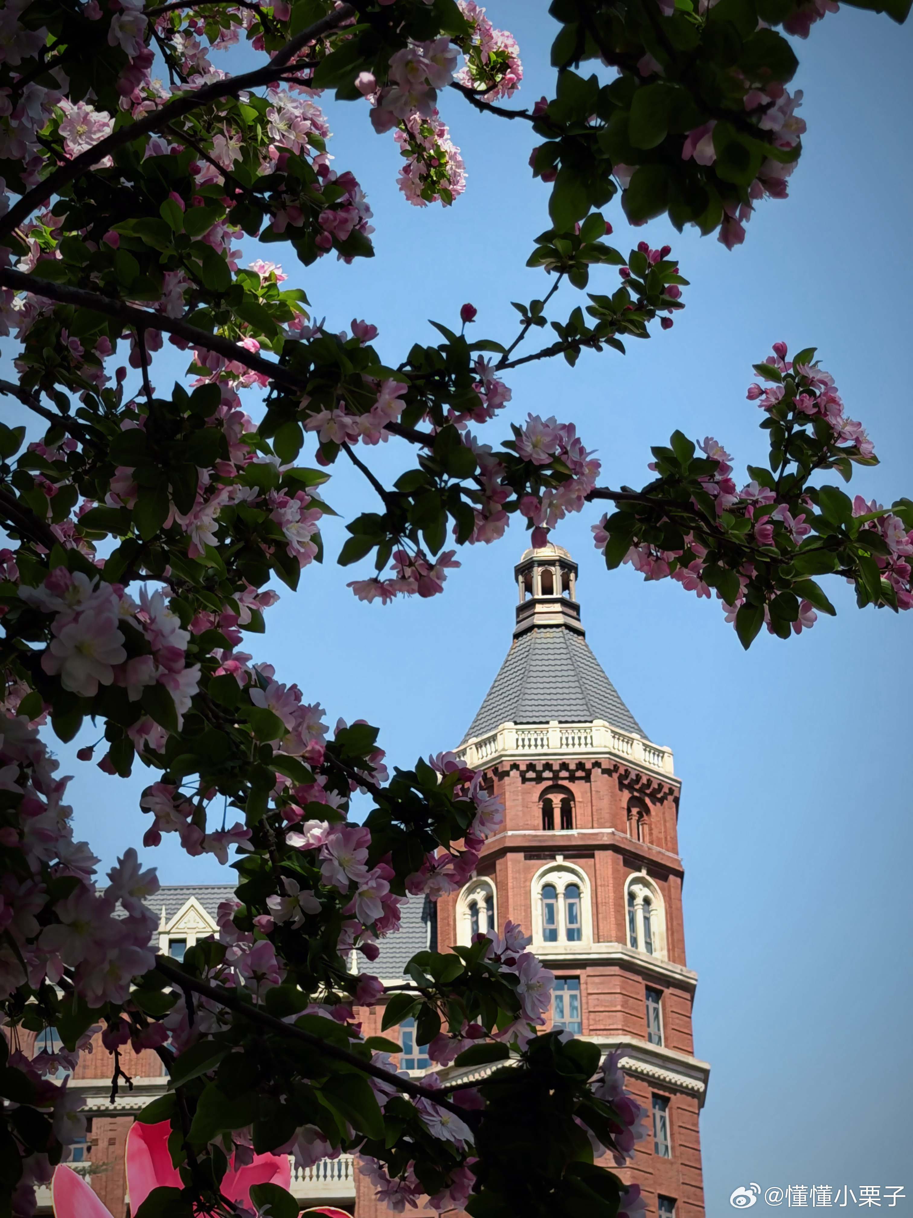 春光不可辜负啊