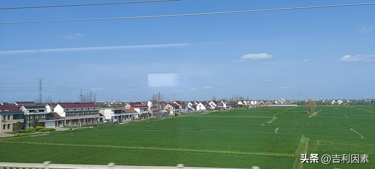 坐着高铁去旅行。春天的高铁沿途都是美好的景色。麦苗已经转青，翠绿翠绿的，油菜早的