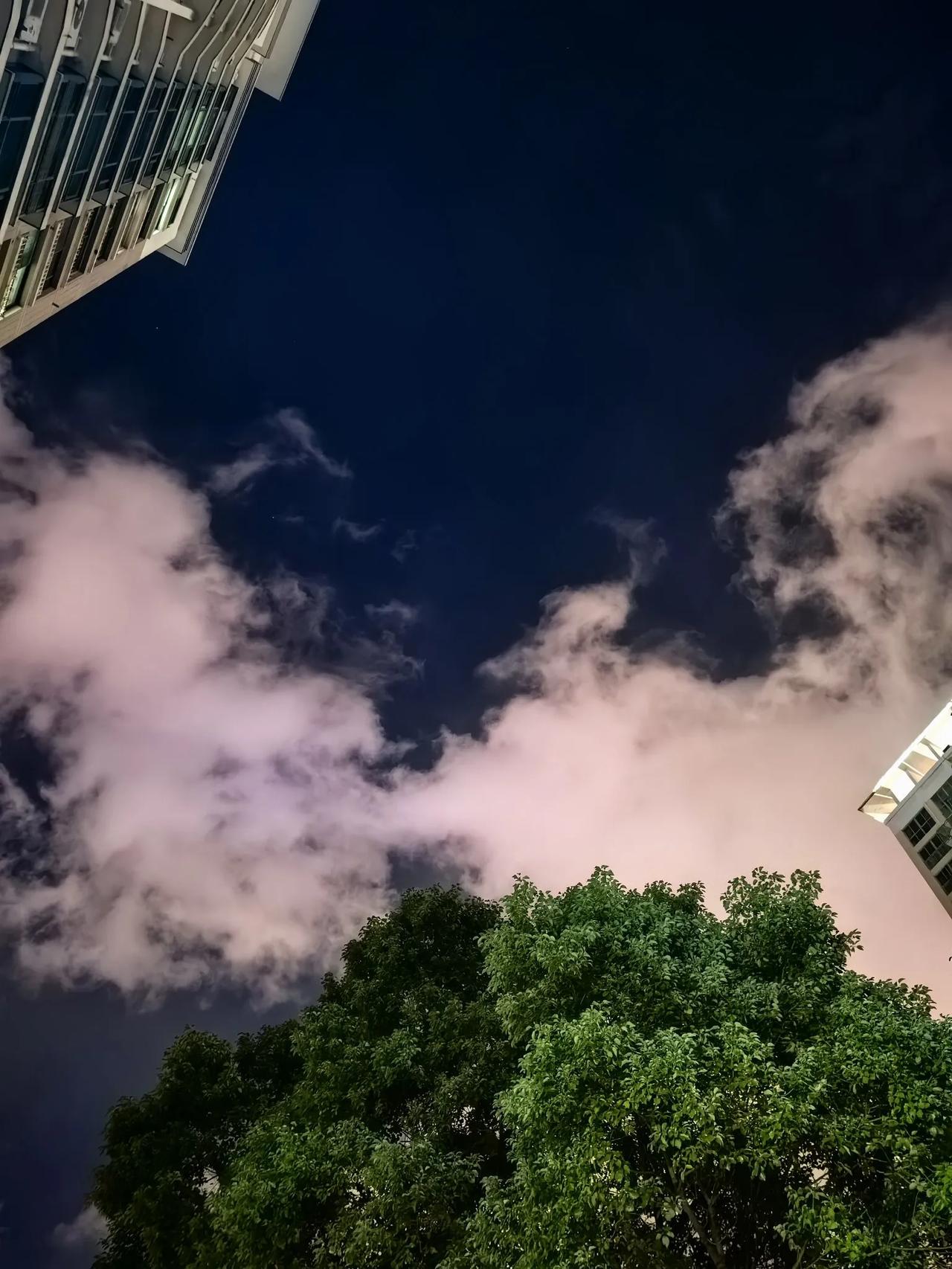 纪伯伦：“如果有一天：你不再寻找爱情，只是去爱；你不再渴望成功，只是去做；你不再