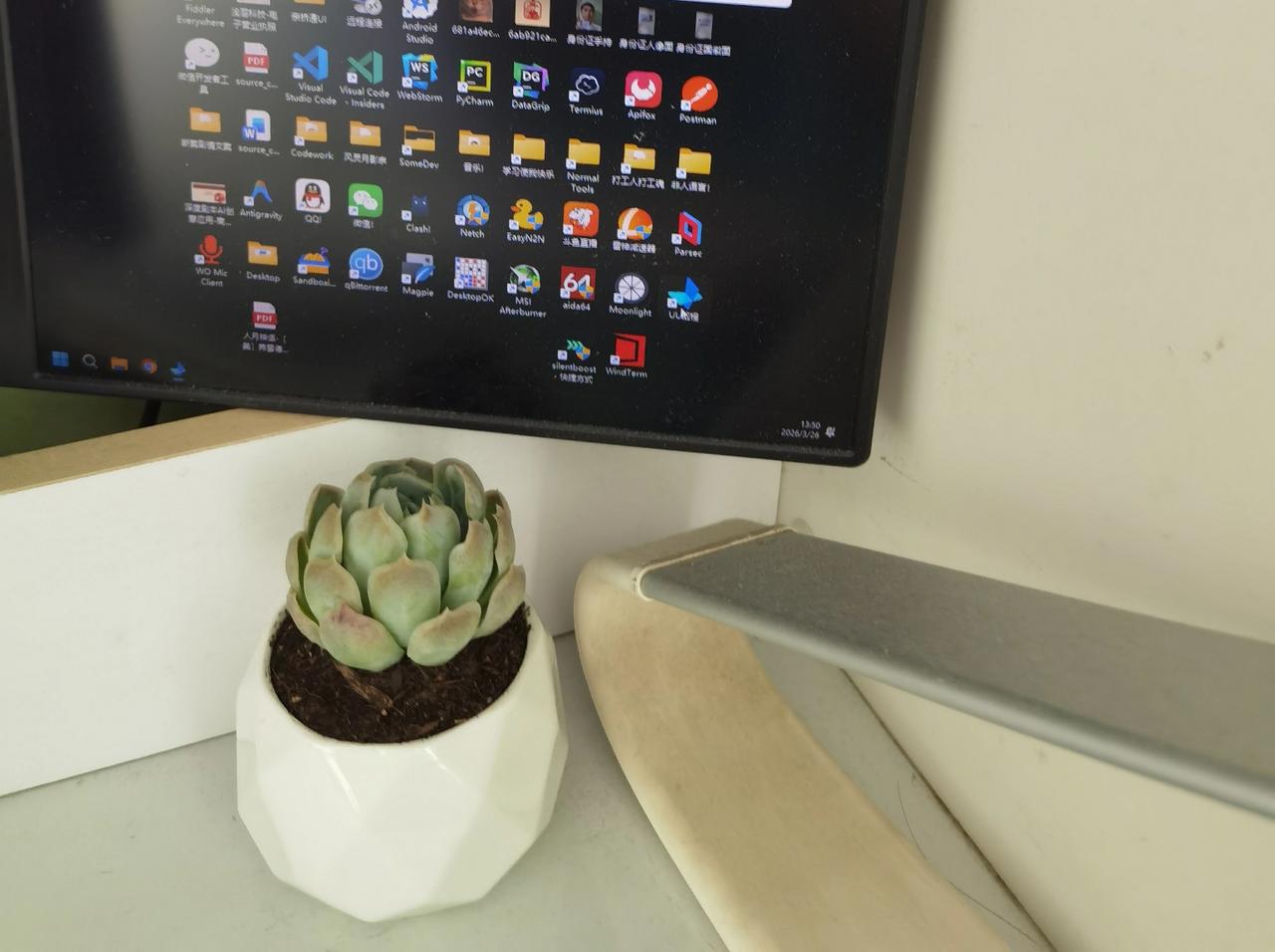 把小何介绍给小周，我认为是资源互配。

小何是一个长相清秀、亭亭玉立的姑娘，今年