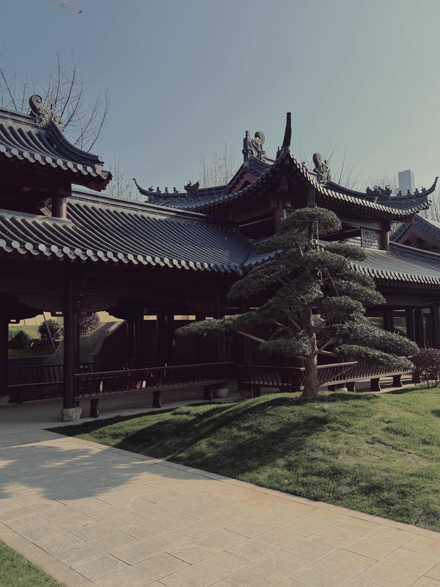 这几年发生的事我总是记不清 那些彼时以为会记一辈子的事情 好像被抹除了...