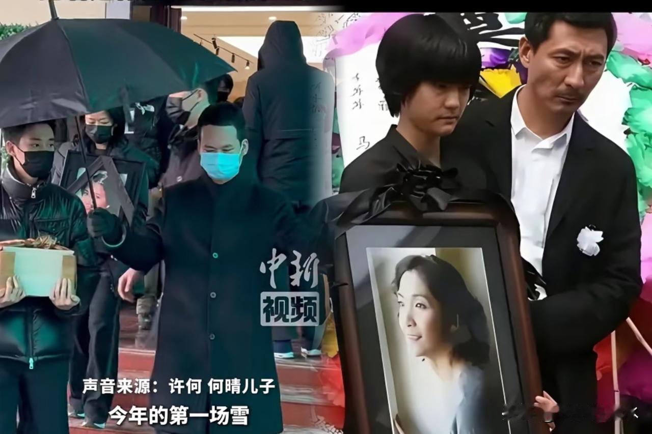 一张遗像，

一个孤零零的孩子。

这画面看得我心里发堵。

许何捧着母亲何晴的