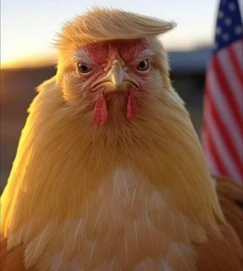 天天都是愚人节啊！ 