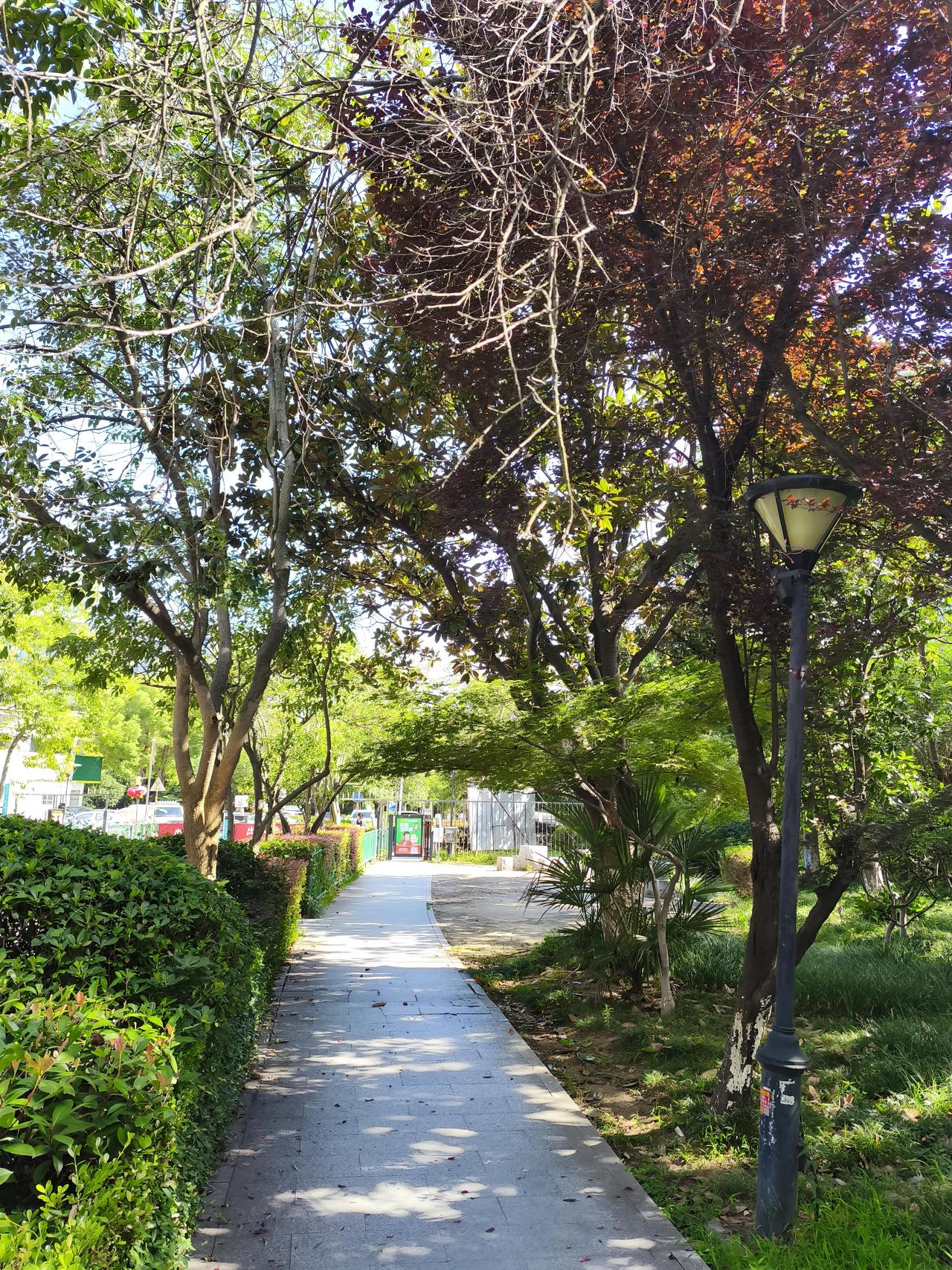 公共交通也早早恢复正常，没耽误大家上班上学。街上行人来来往往，店铺正常营业，生活