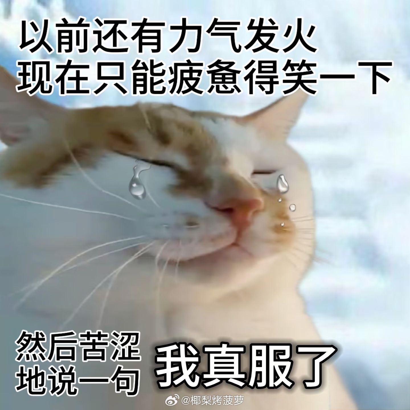 这个出收伴手礼我真是看累了 也别诡辩说什么“我发不发不自觉的都会拿”“去年我没发