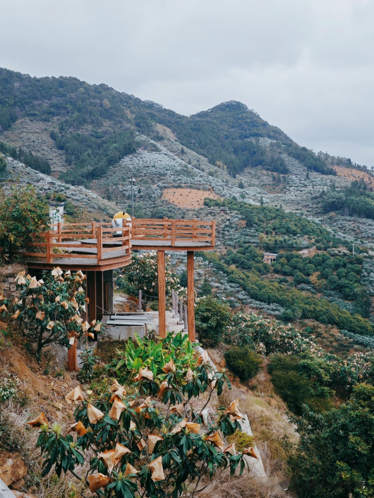 🎤在福州的第127条徒步路线

福清真是个宝藏地方，好多路线可以走走[灵光一闪