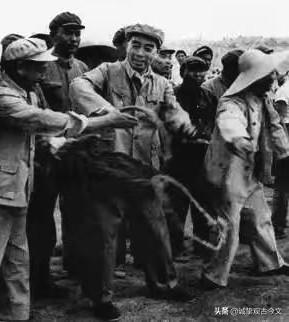 历史时光
1958年，周恩来总理在北京十三陵水库参加劳动。