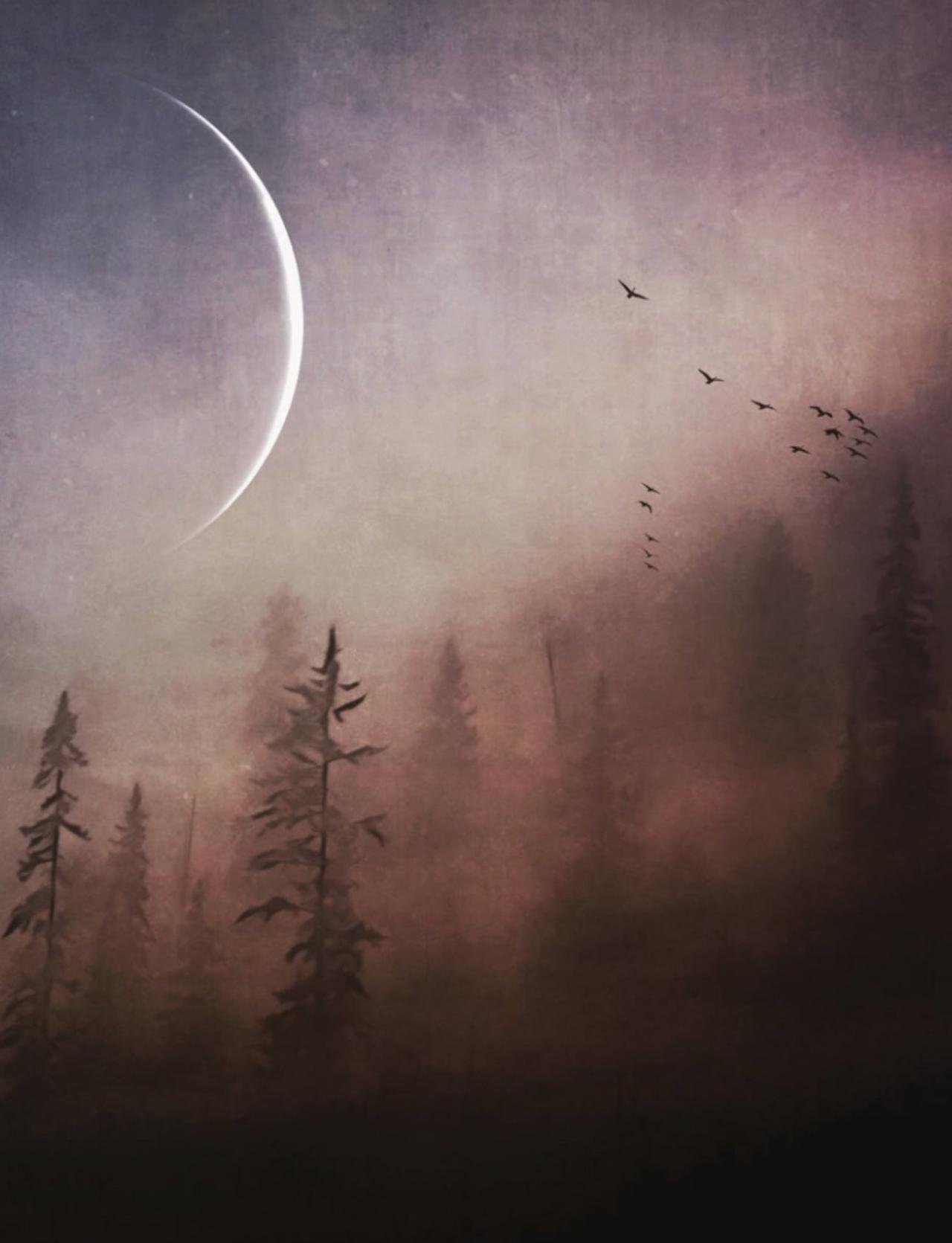 我们的逆来顺受的习惯，我们的被压弯（或折断）了的脊背，使我们对这种土匪式的消灭罪