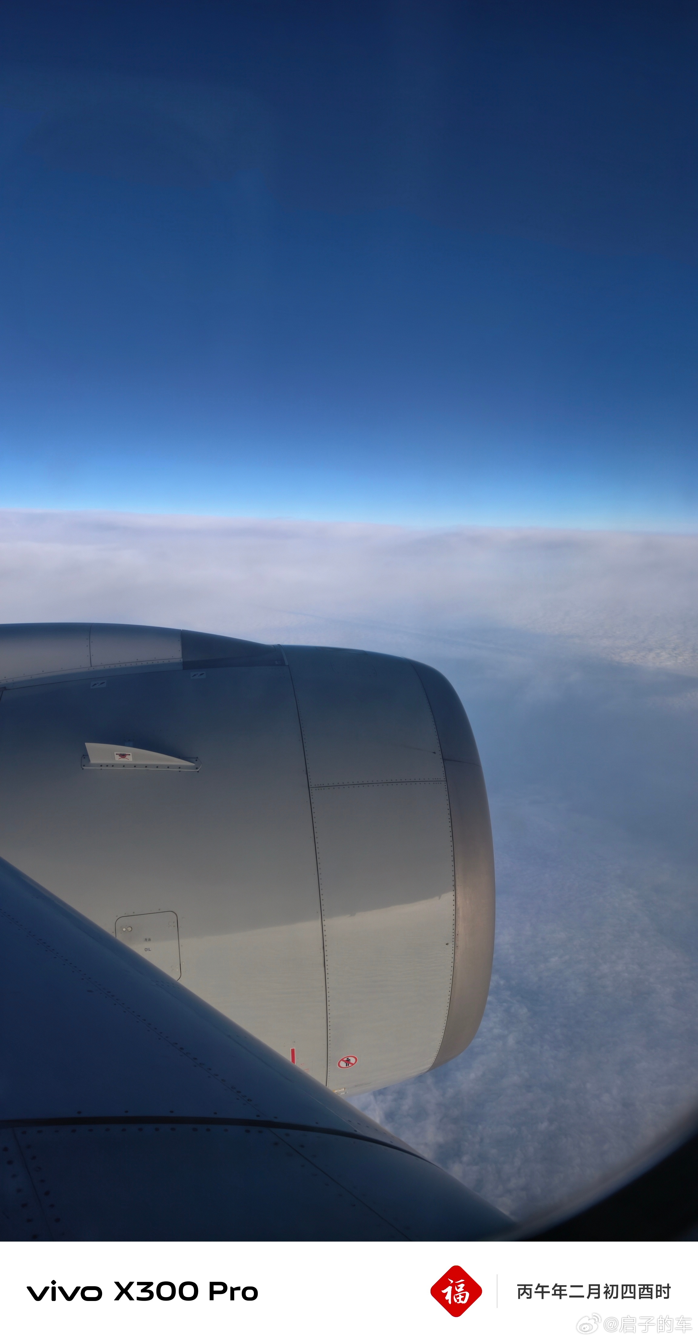 今天又去哪呢启子的日常启子的车