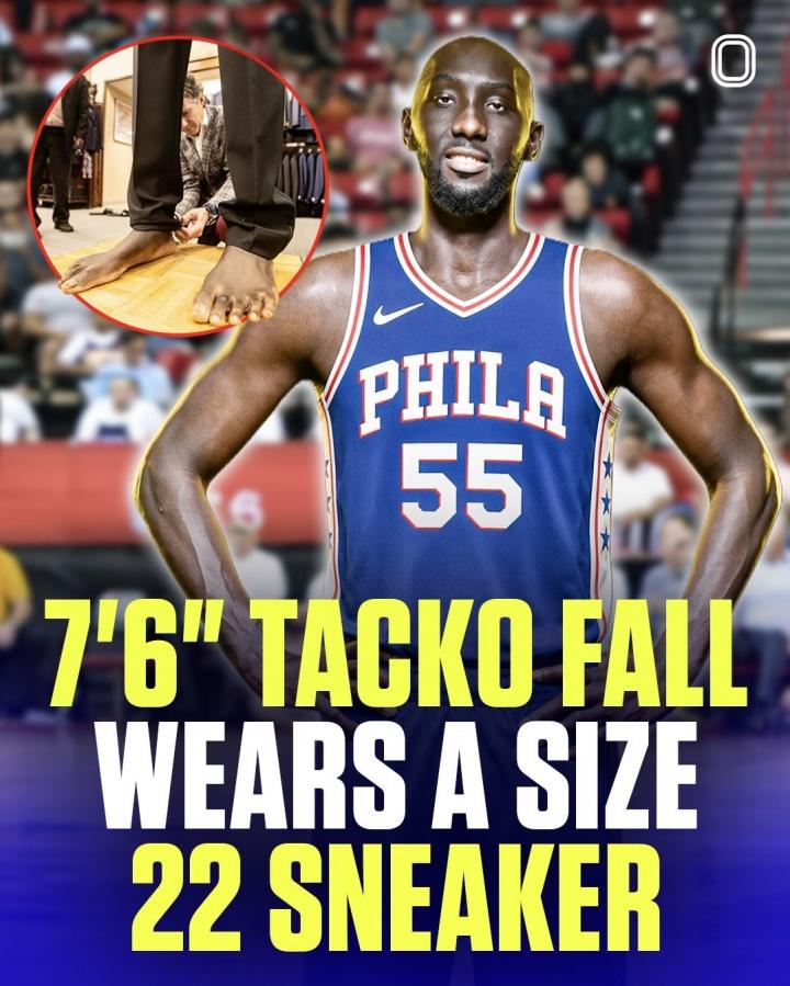 超级大脚！
76人新签法尔的鞋码：56码（33厘米）
奥尼尔鞋码：58码（34厘