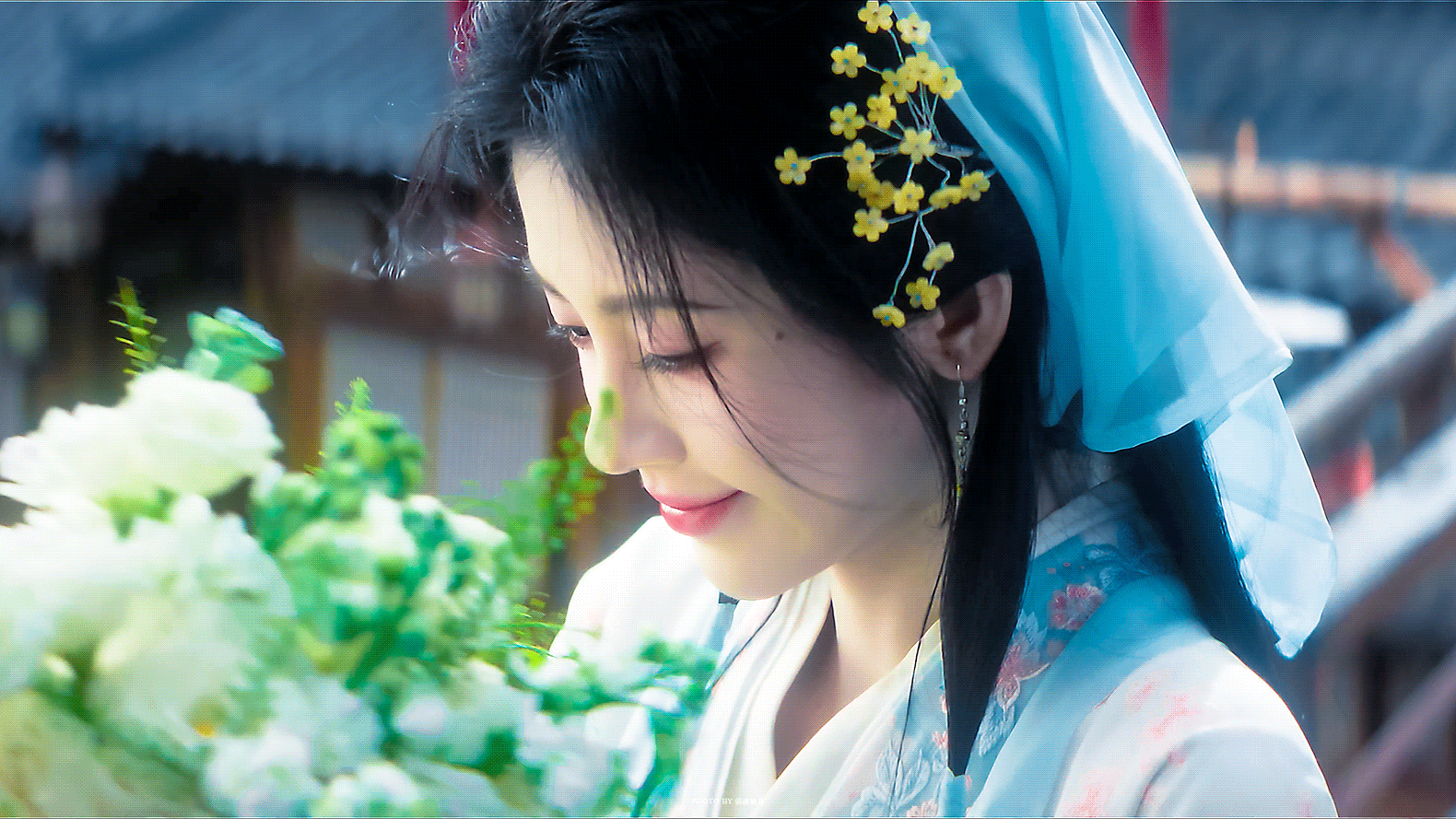 万花世界 点赞这个鞠婧祎 能中亲签 