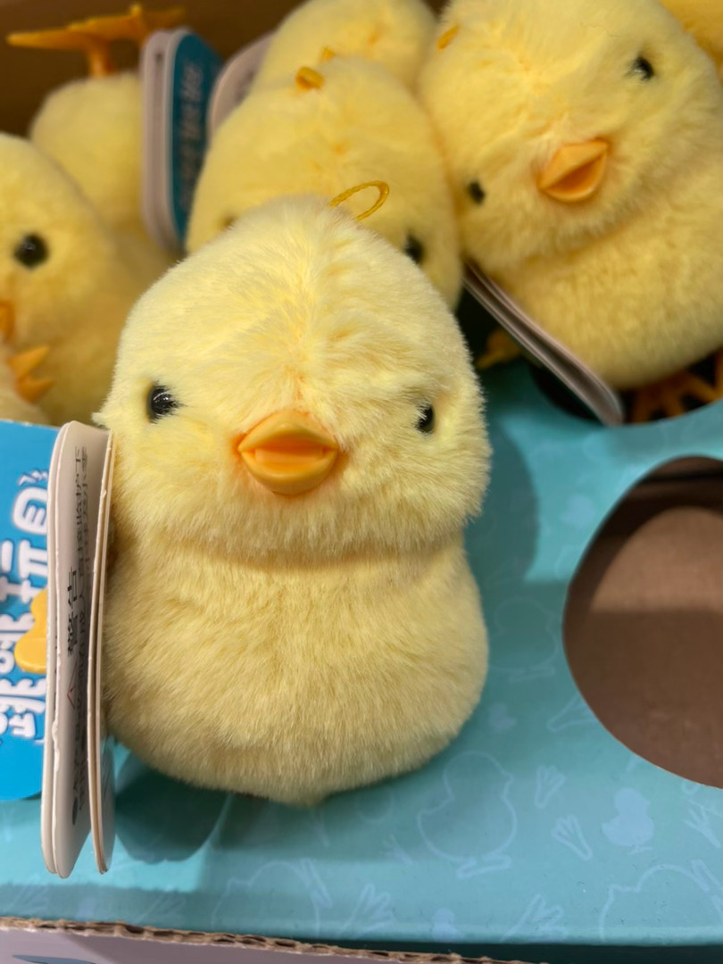 碰到小鸡人好了