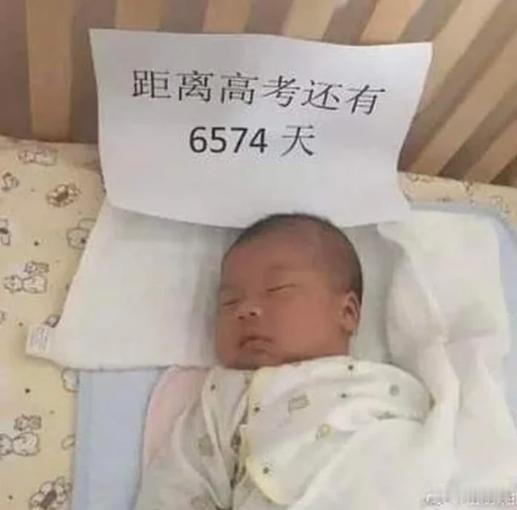 早～今天周日，都准备干点啥 