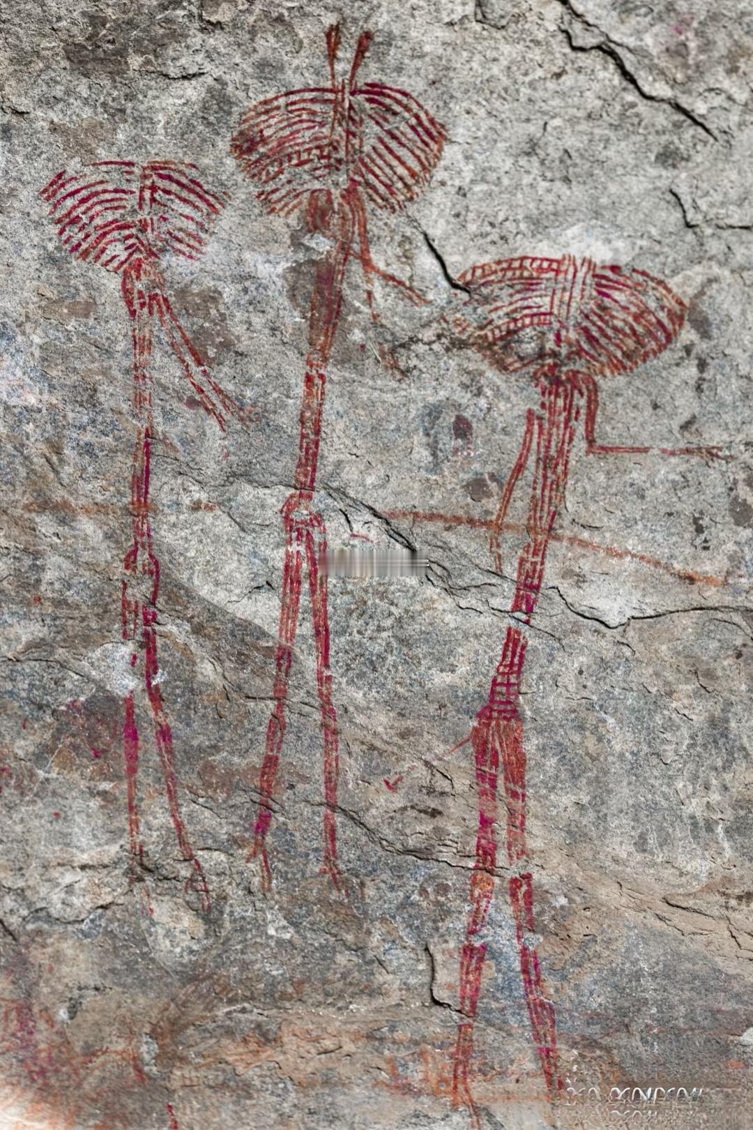 坦桑尼亚多多马孔多阿史前岩画遗址（Kondoa rock painting si