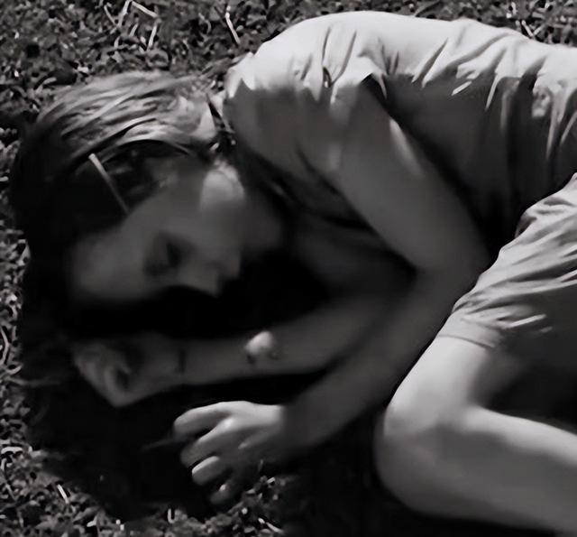 1944年，德国士兵斯内德被安排枪决一个五岁女孩，枪响四十年后，当纳粹被严重谴责