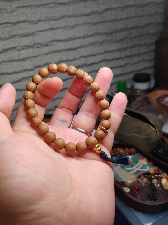 “故宫”五线菩提