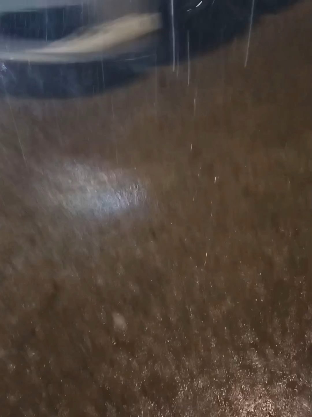 怎么突然下大雨了？ 