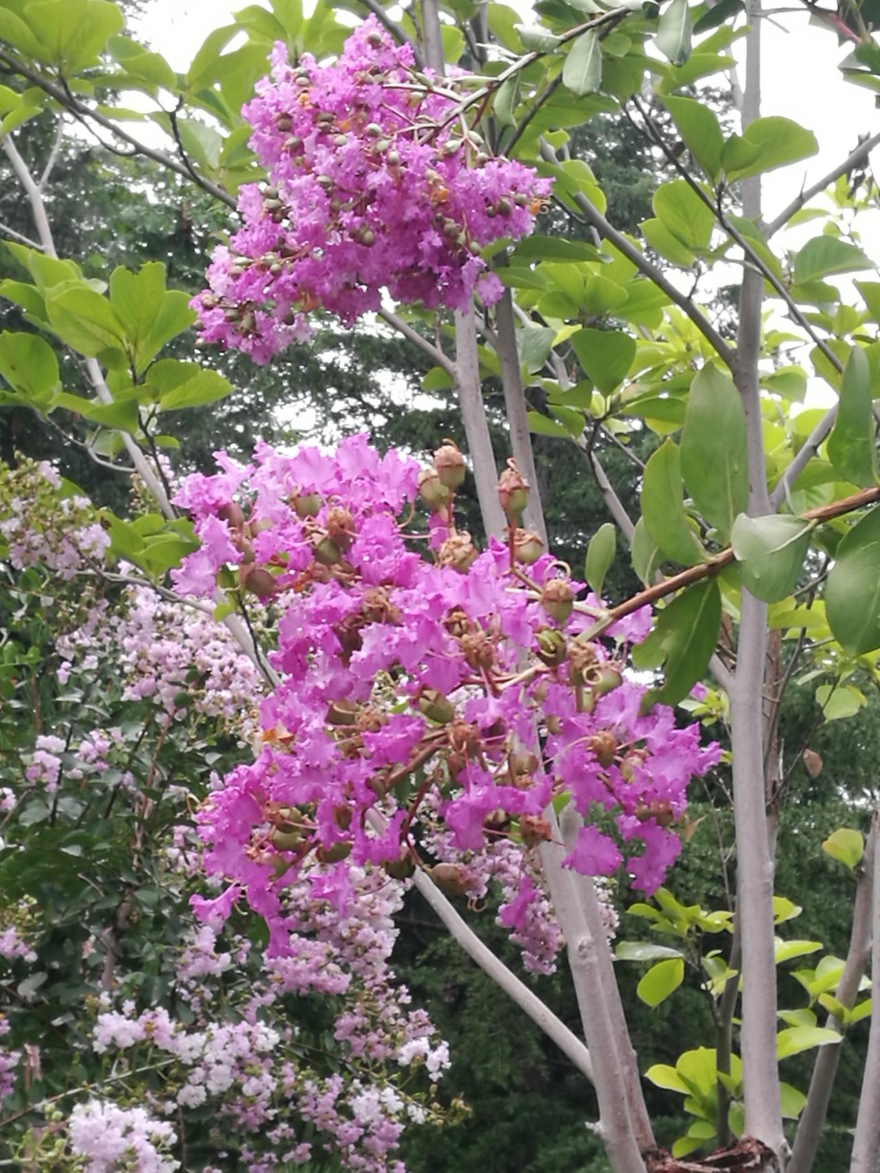 春假开启研学游泡汤，孩子们并非全是喜悦！
昨日，东营市教育局公布了今年春假的具体