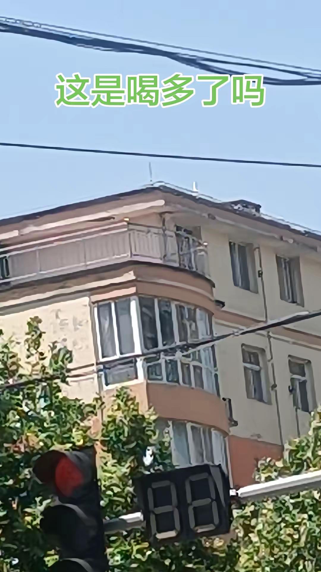 我也不笑别人，我喝多了比她喊的还响