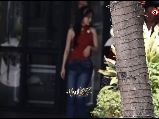 白鹿和孟子义站在一起，好虐的比例…… 