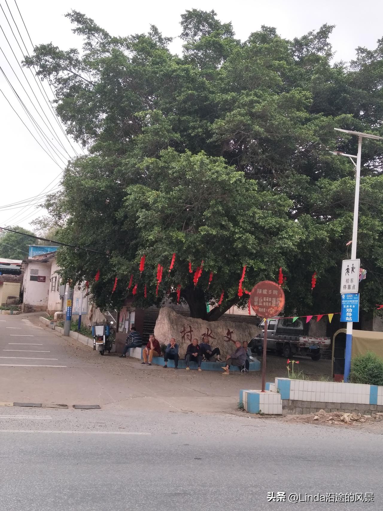 晒图笔记大赛广西“情报站”的“工作人员”主要以高龄男性为主。