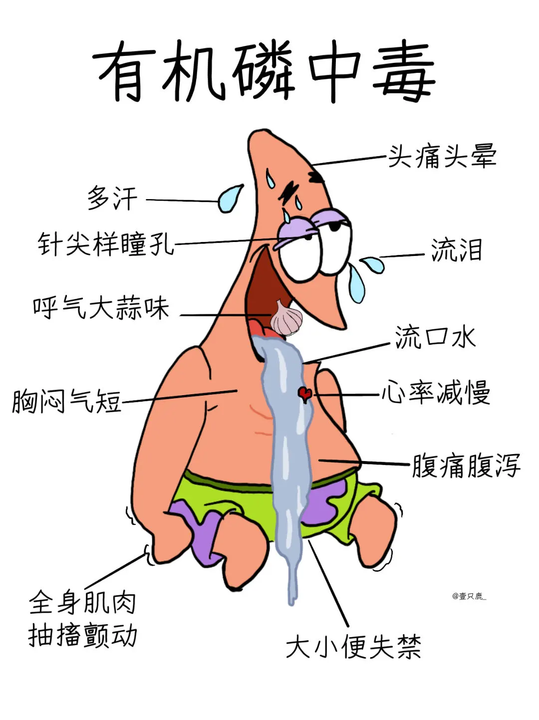 医学生笔记📝｜有机磷中毒