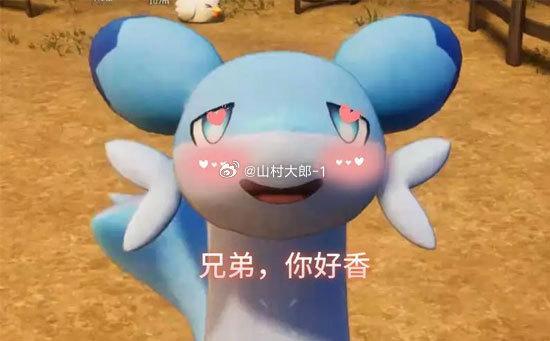 人可以和不爱的人过一生遇到过几对都是一开始轰轰烈烈，高调官宣，没多久就分开了，有