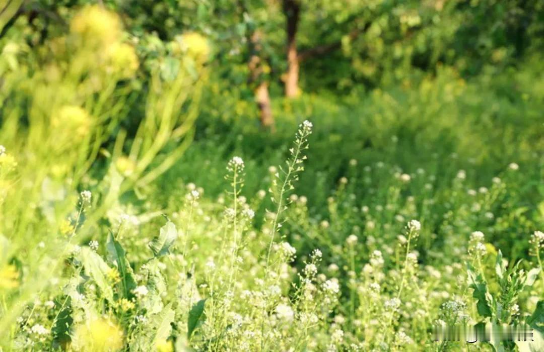 人活一世，聪明的人早就学会了这几种活法。

1、闷声发大财。当自己有能力挣到钱时