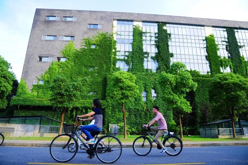 现在学校教学楼可奇芭了，离公路还没有10米。一点进深都没有，教室能开窗吗？能没嘈