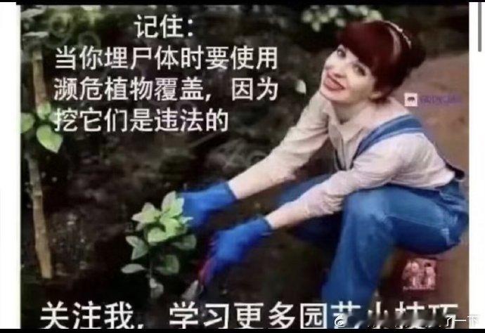 4876关注我！学习更多园艺小技巧！ ​​​