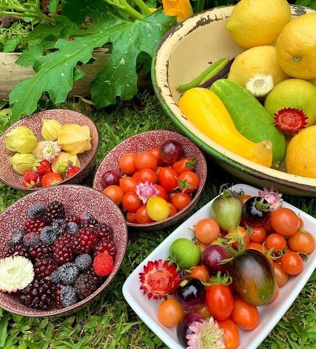 丰收的小菜园 🍓🥕🥒🥦🍅🌿 