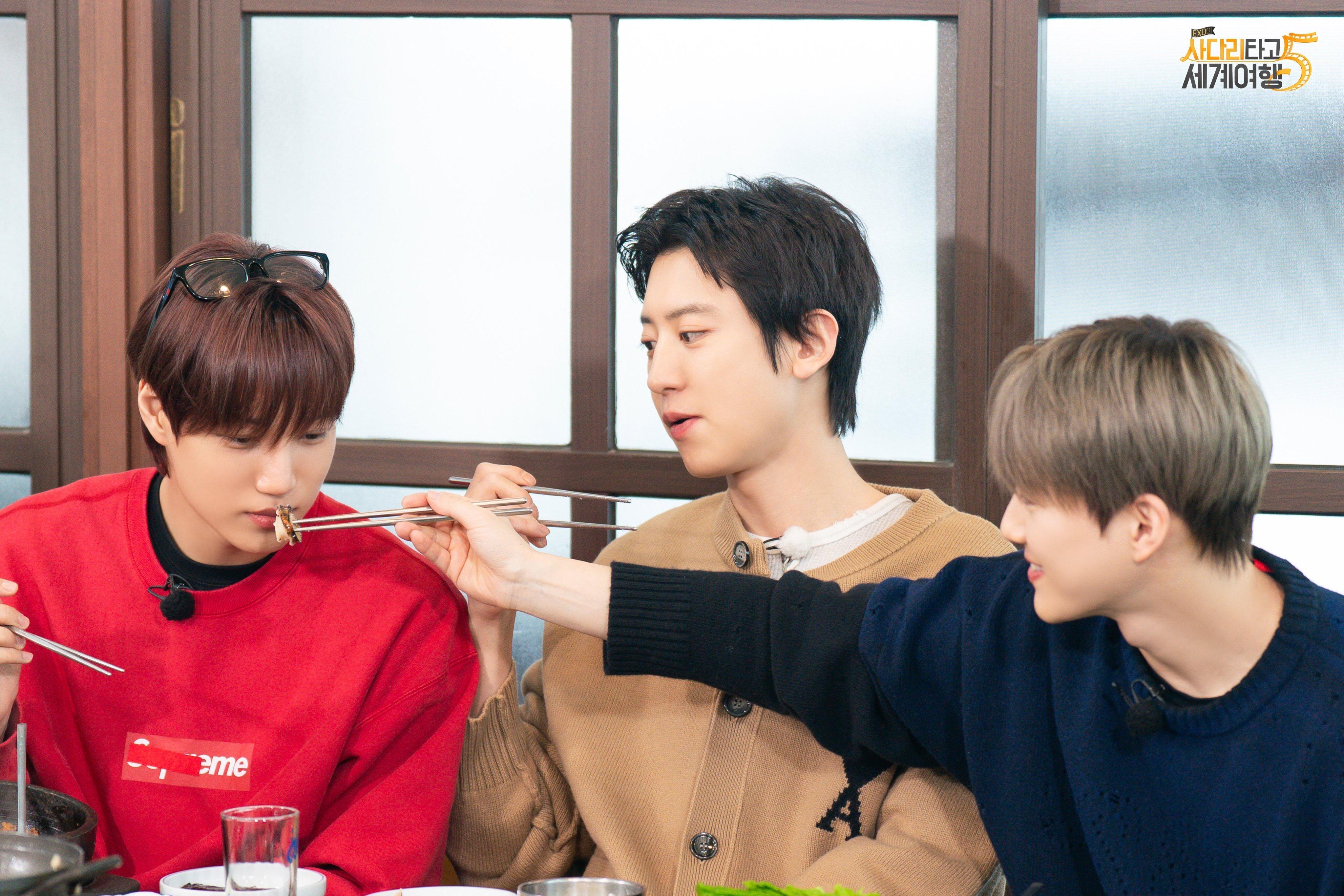 EXO爬梯子5播出 哥几个状态好好呀EXO团综《EXO的爬梯子世界旅行》第五季正