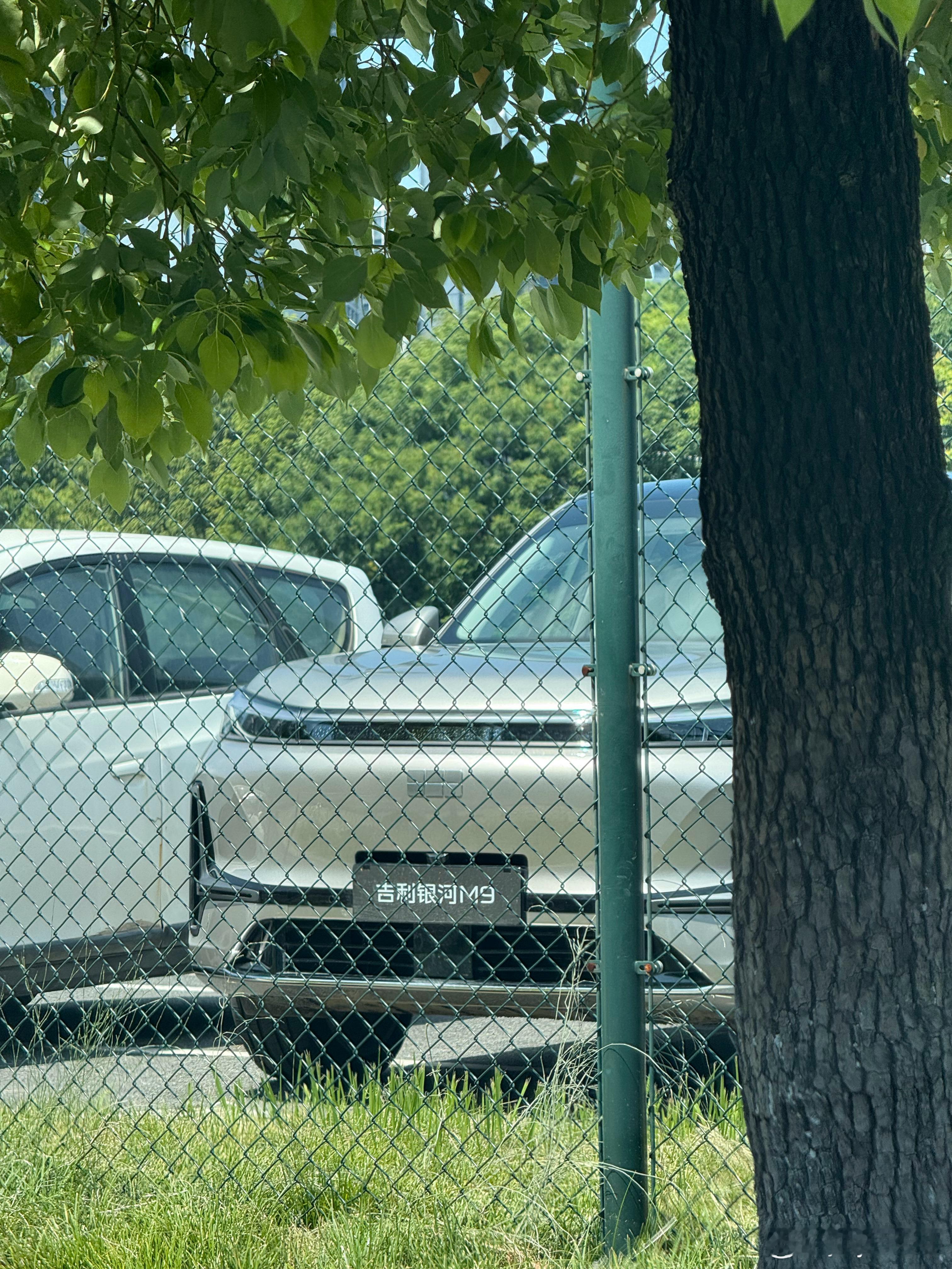 银河M9🤔吉利银河M9﻿ ​​​