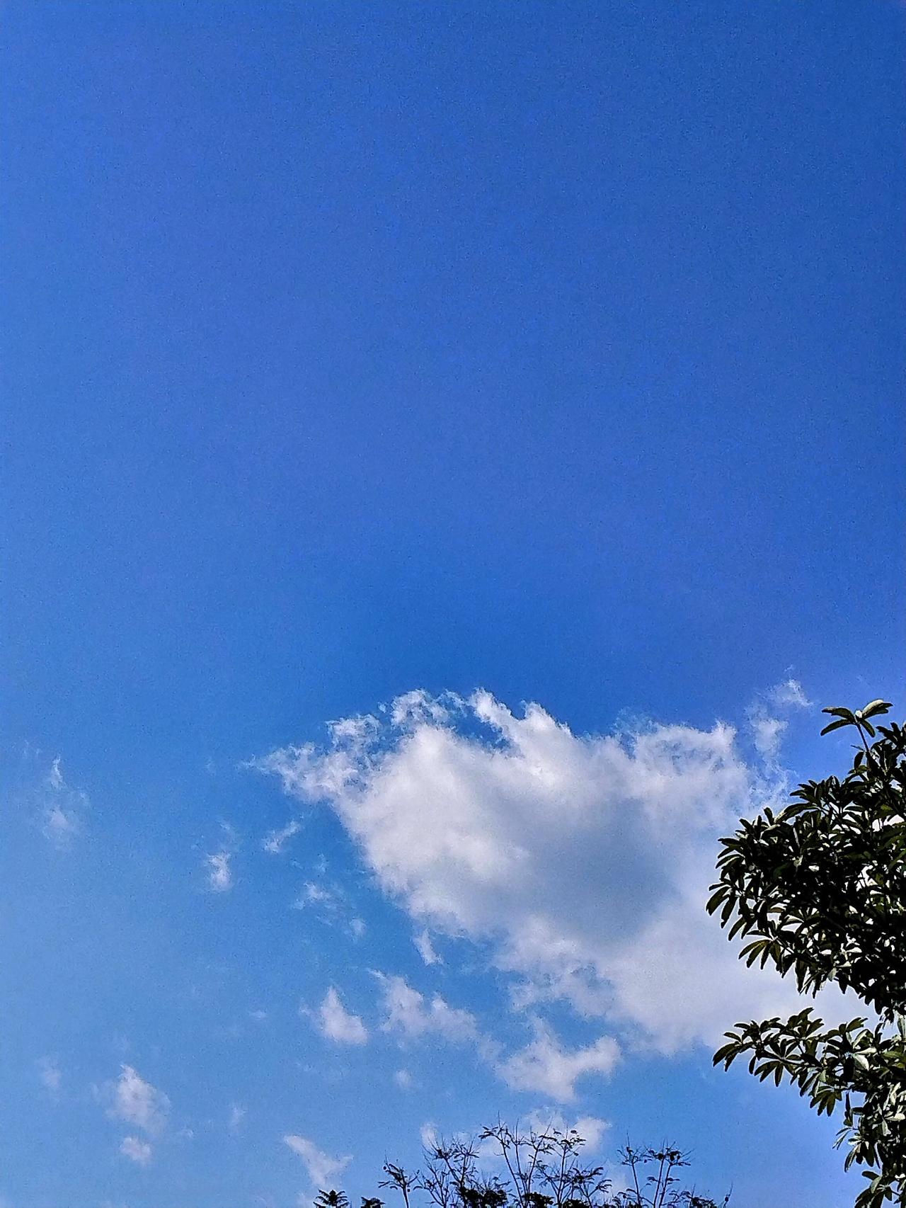 蓝天白云，碧空如洗，心旷神怡。