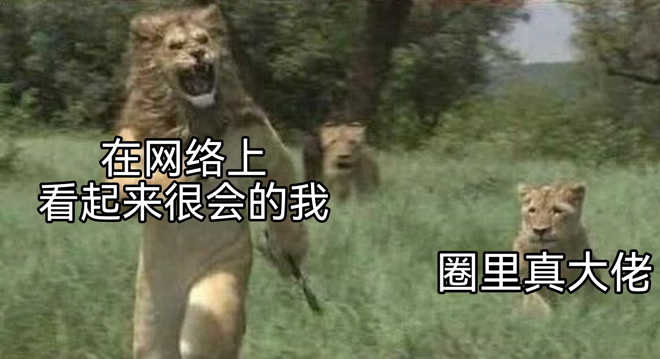 “我只上过理论课，哪搞的过你们玩实践的[苦涩]”#梗图##今日memes##me