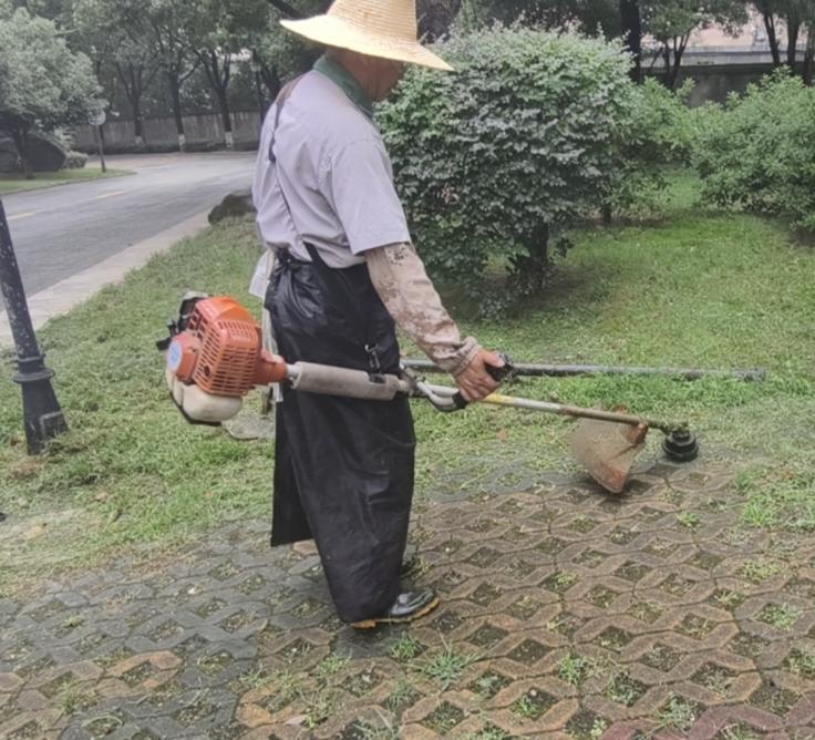 值得尊敬与点赞的园工
         多日的雨水滋润，大院内饥渴的杂草似吃了仙