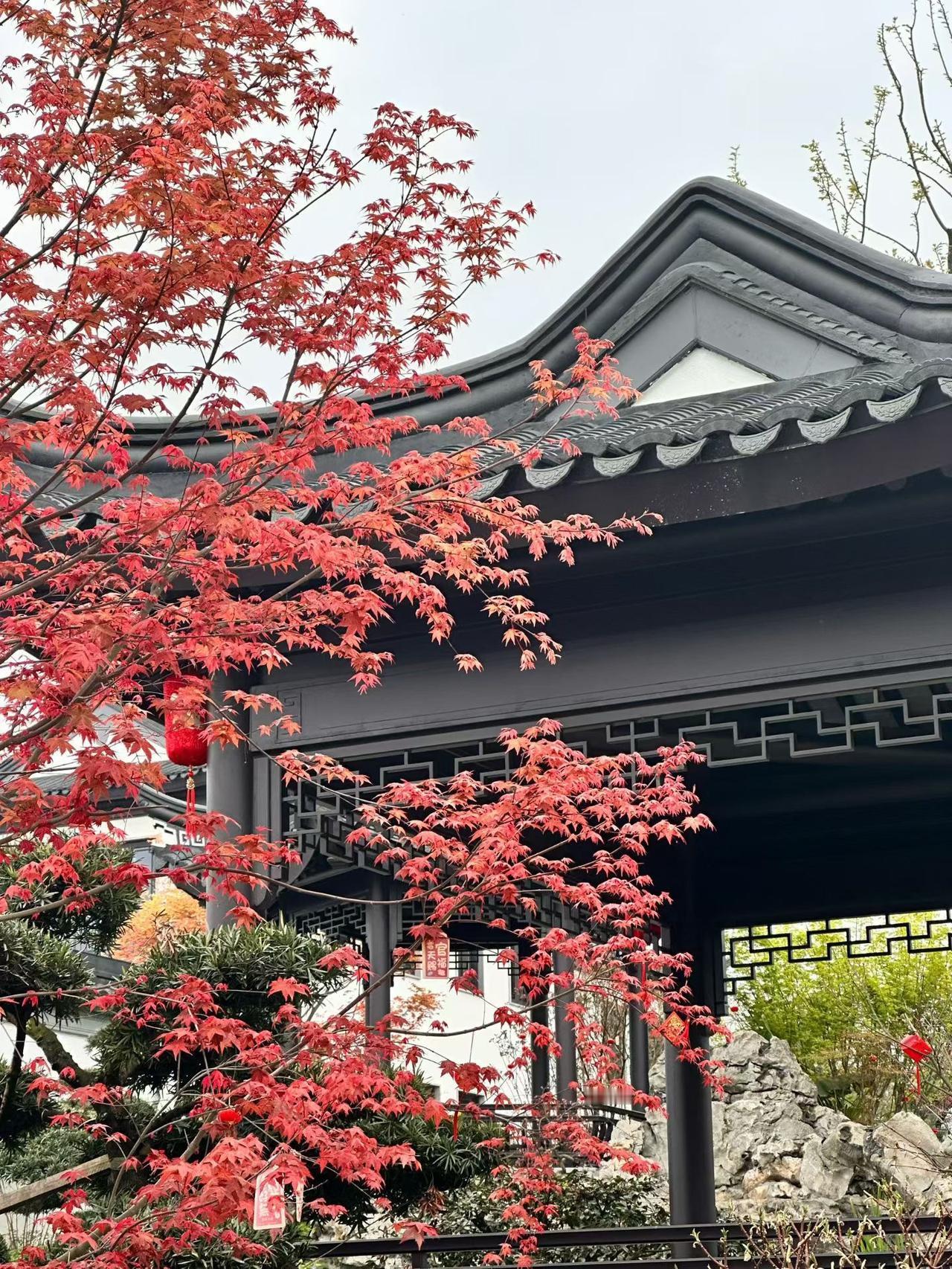 现场实拍 中式庭院 生活百般滋味你要笑着面对 建房 慢生活