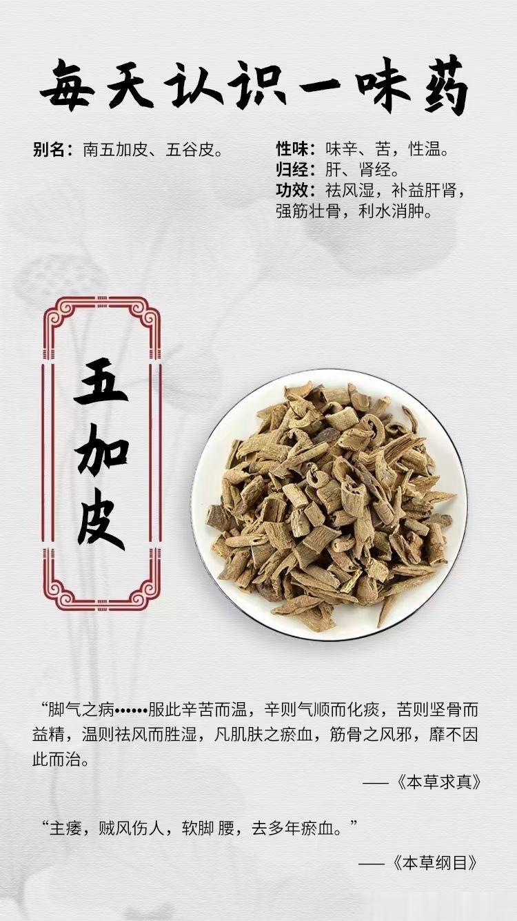 #国医的精诚力量##每天一味中草药##论道岐黄# 【每天认识一味药】[鲜花]五加