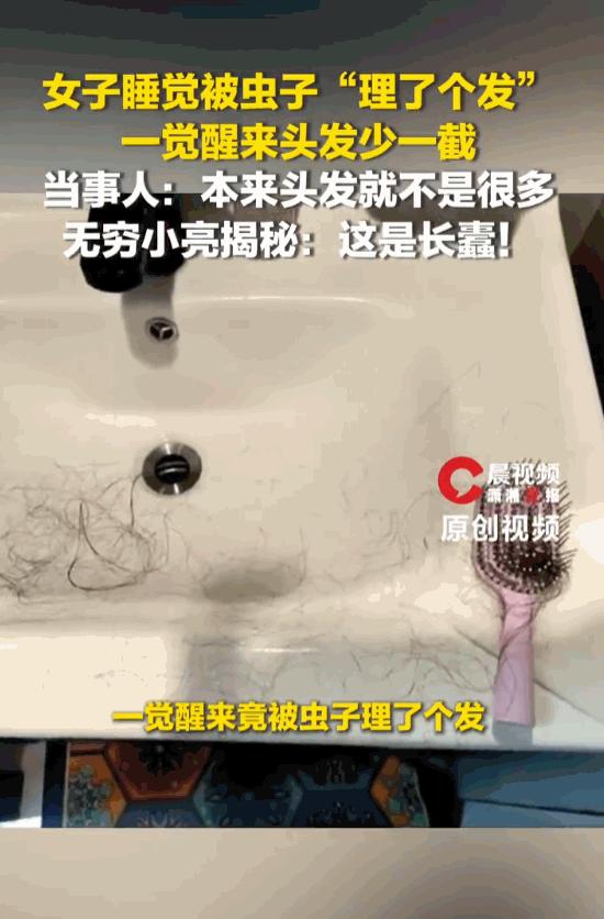 一觉醒来，半边头发齐根咬断，露出头皮。门窗锁得死死的，床边全是碎发和粉末。换谁都